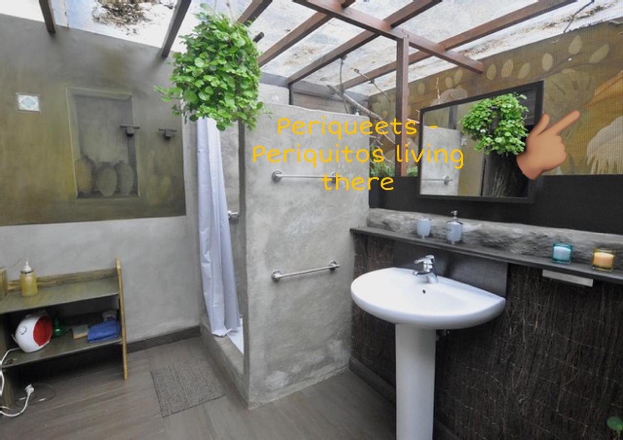Lodero Studio Mazo The Glamping מראה חיצוני תמונה